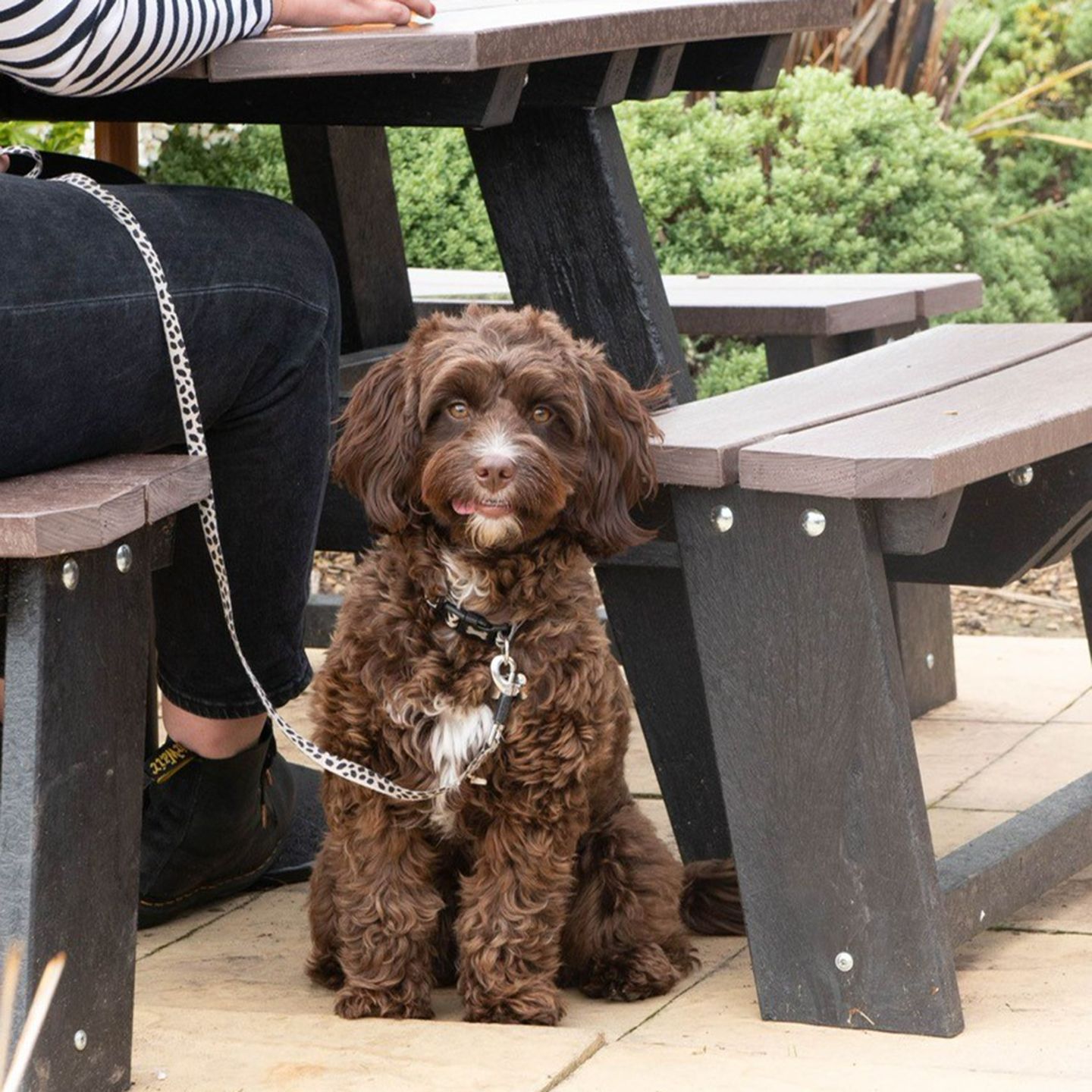 Your local dog friendly pub in Motherwell